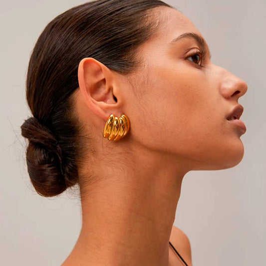 Aretes Ariany - Dorotea - Aretes