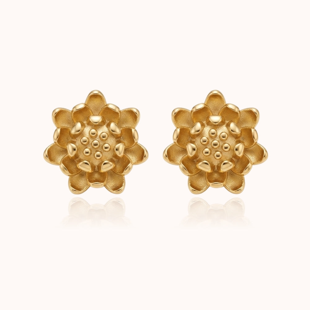 Aretes Airis Dorotea Aretes