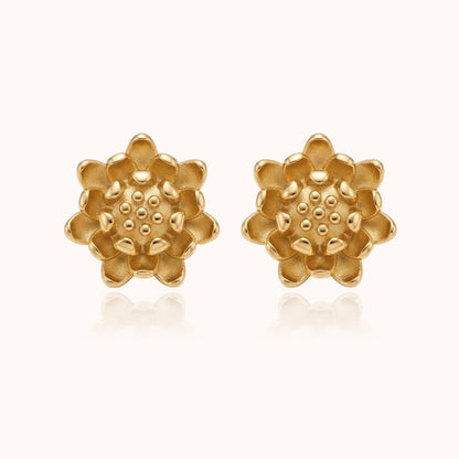 Aretes Airis Dorotea Aretes