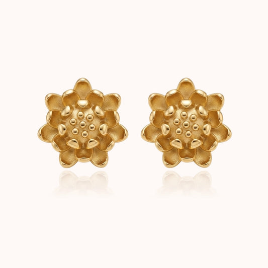 Aretes Airis Dorotea Aretes