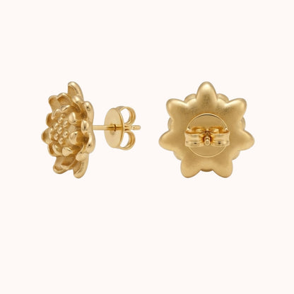 Aretes Airis Dorotea Aretes