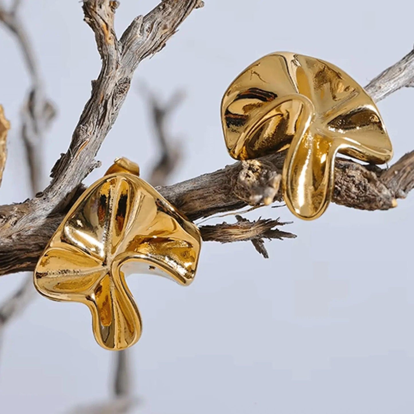 Aretes Fiorella Dorotea Aretes